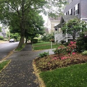 Meet your Posher, Bonnie